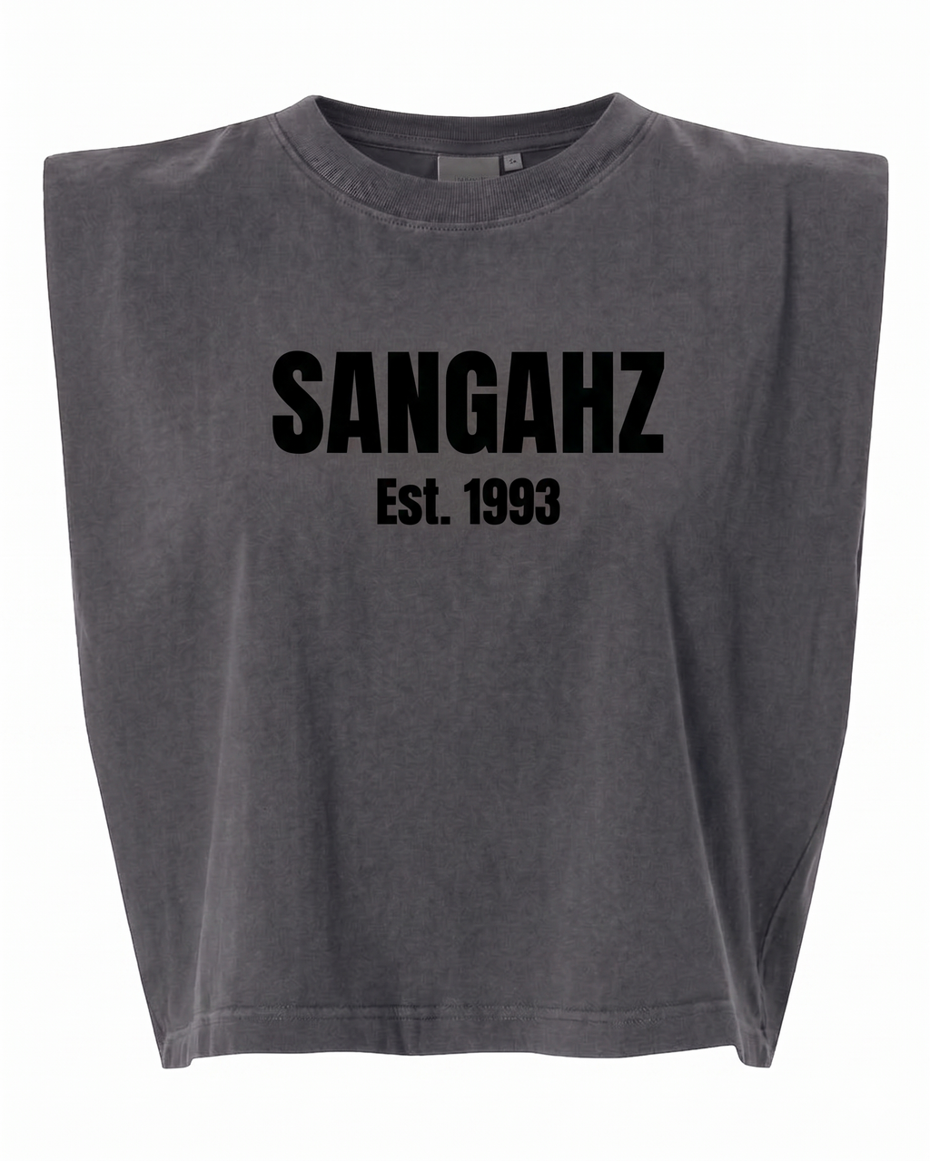 SANGAHZ Heavyweight Gray and Black Cropped T-Shirt