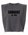 SANGAHZ Heavyweight Gray and Black Cropped T-Shirt