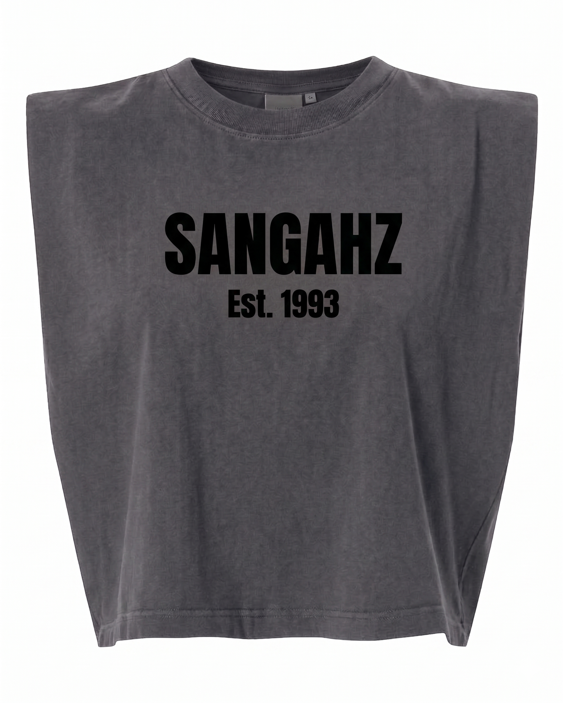 SANGAHZ Heavyweight Gray and Black Cropped T-Shirt
