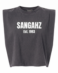 SANGAHZ Heavyweight Gray and White Cropped T-Shirt