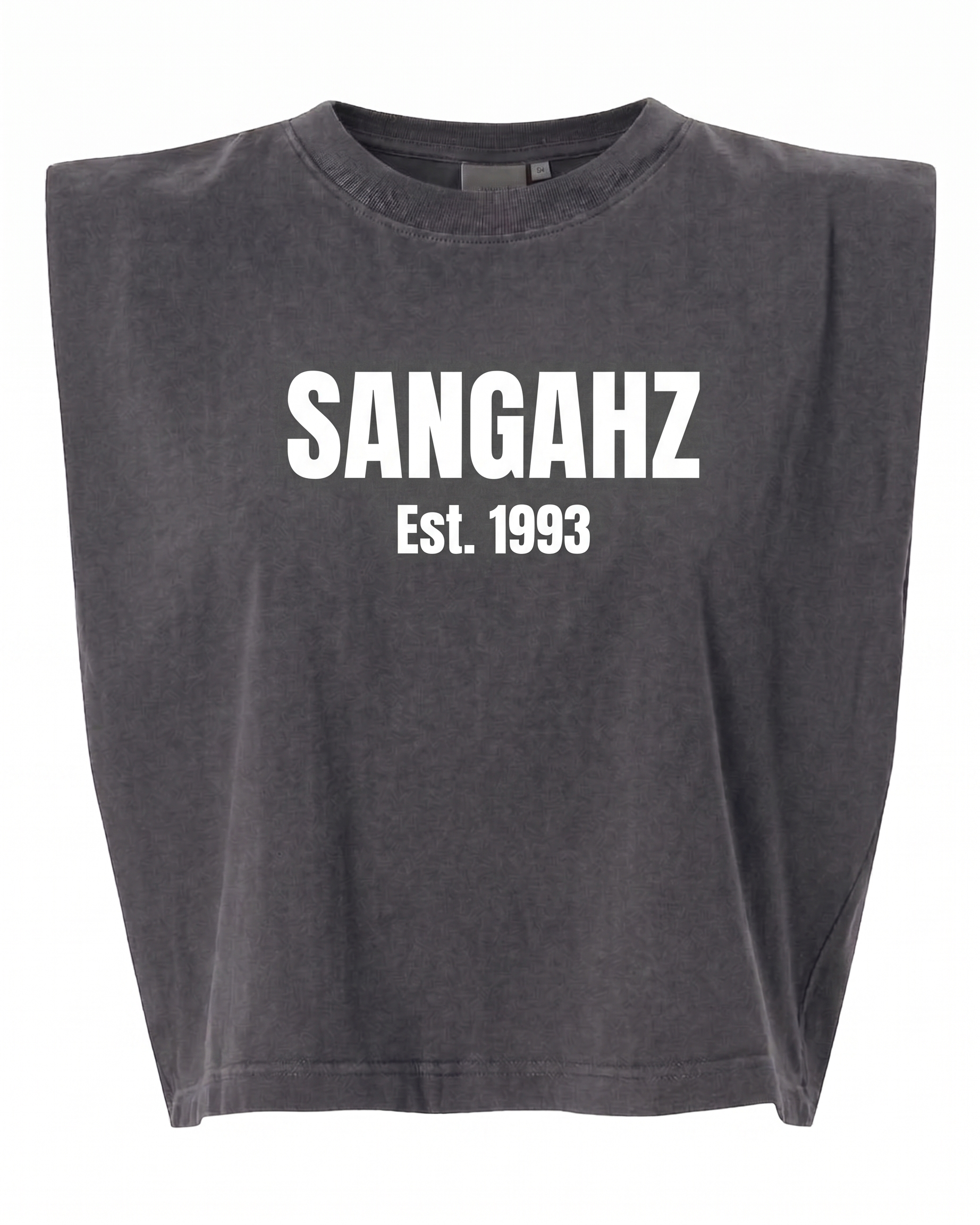 SANGAHZ Heavyweight Gray and White Cropped T-Shirt
